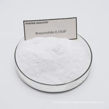 China Professional Supplier Plant Growth Regulator Brassinolide 0.1%sp